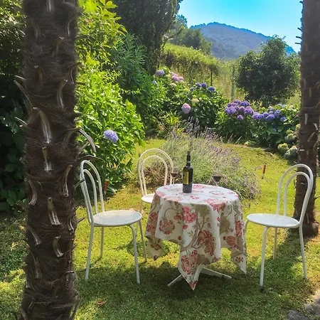 Ibisco Appartement